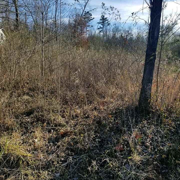 1st image of 0 Scenic Lakeview Dr Lot 43