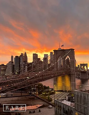 Rented by Find What’s Rare | media 12