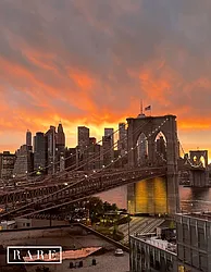 Rented by Find What’s Rare