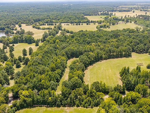 14.5 Acres Shandy Road 2