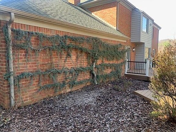 3rd image of 5211 Canter Dr