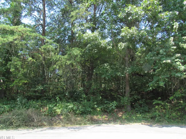 Clate Pl, Church Hill, TN 37642