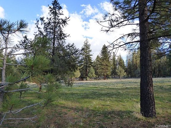 3rd image of 10878 Forest Edge Ln