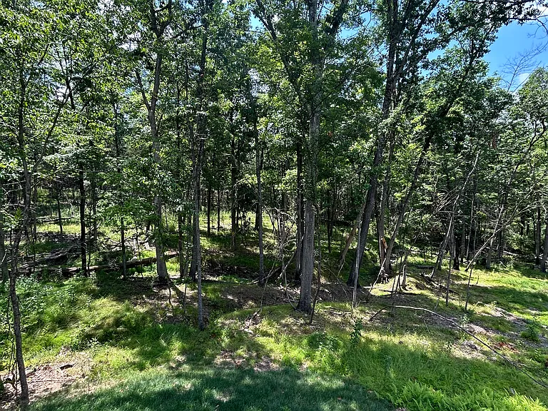207 Fairview Rd — Photo 47