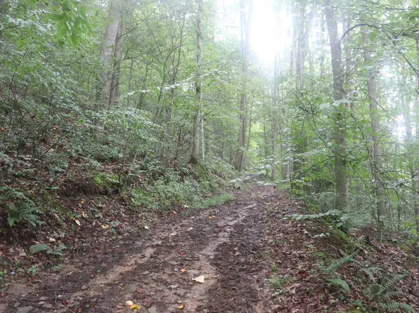 Off Route 16, Ivydale, WV 25113