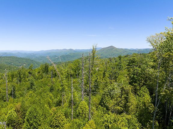 2nd image of Walnut Mountain Rd