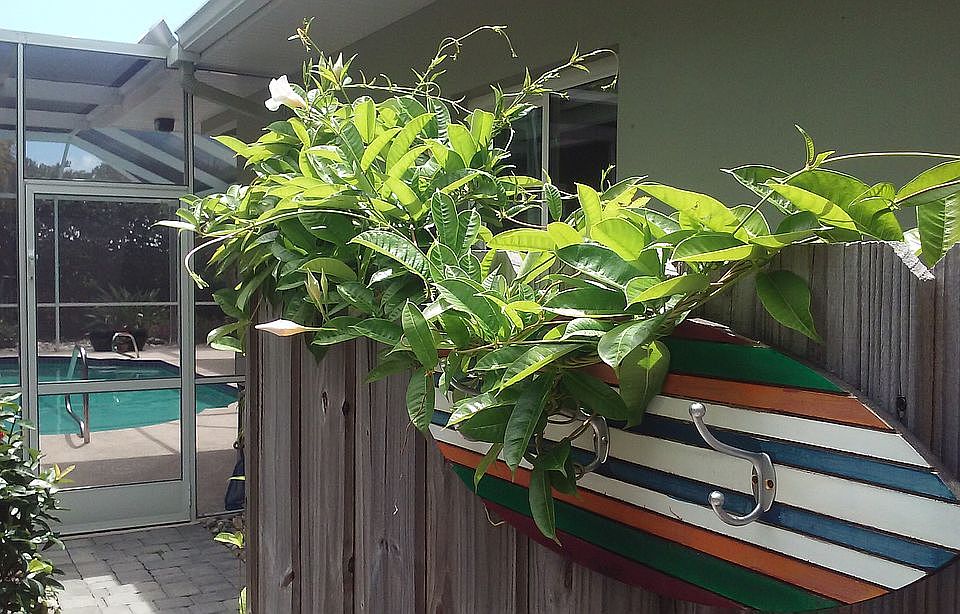 2nd image of 321 Hibiscus Trl