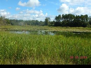 7031 S Red Padgett Rd, Perry, FL 32348