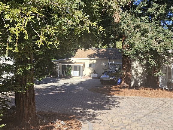 redwoods in front of house