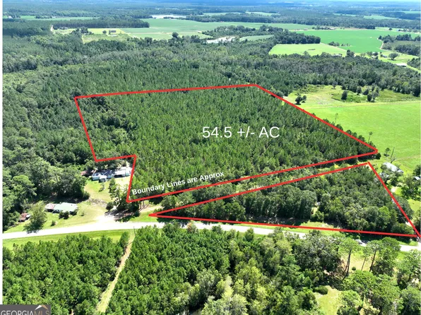 0 Crump Rd, Bristol, GA 31518