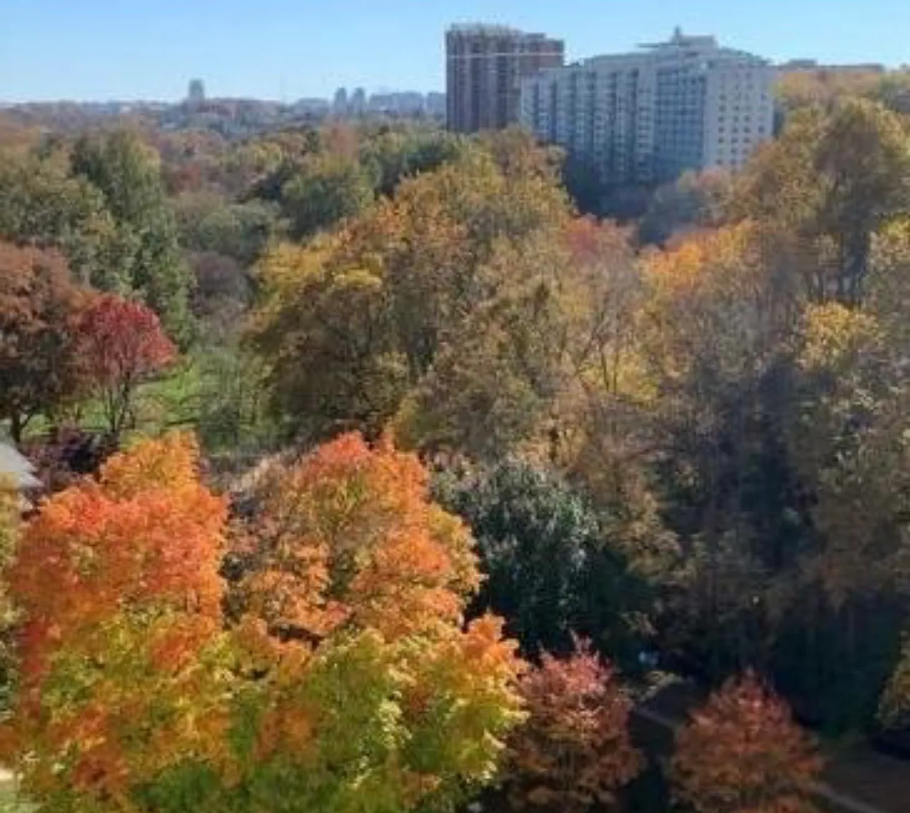 2 bed, 1149 sqft, $3,000 — Photo 4