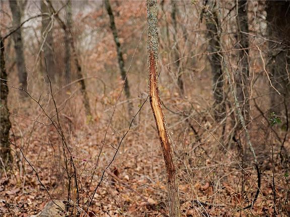 4th image of 16121 Cherry Trl
