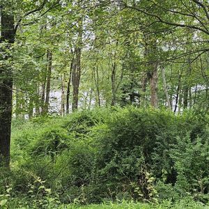 LOT 45 Lake Russell Rd, Newfoundland, PA, 18445