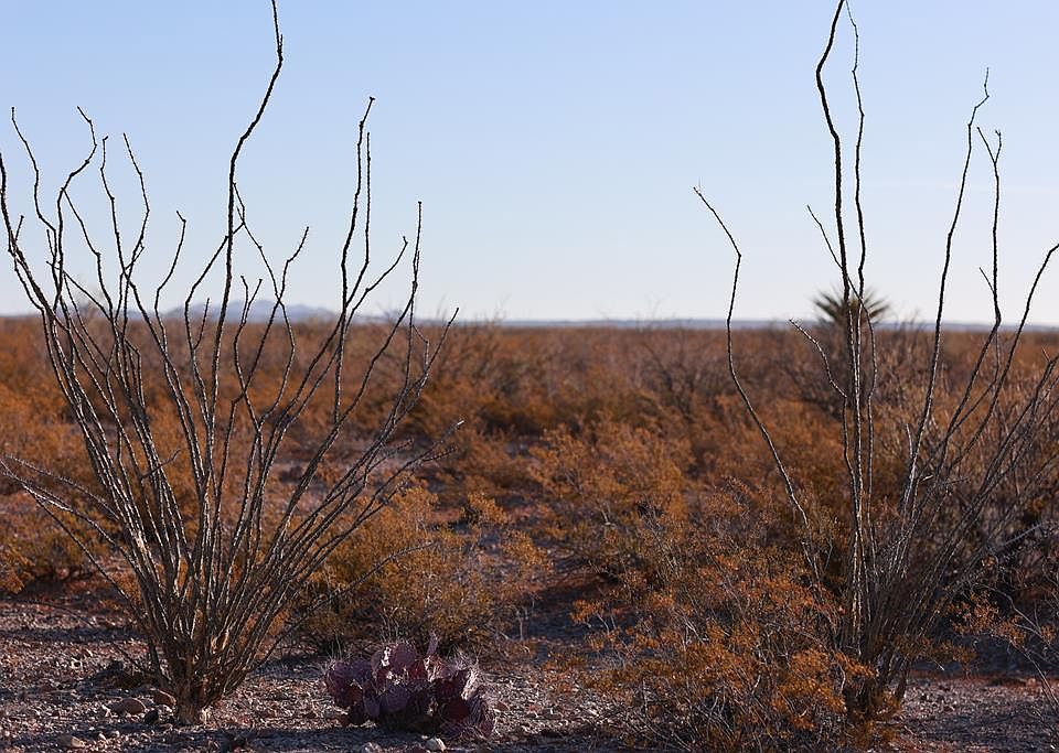 1st image of 8062 State Highway 67
