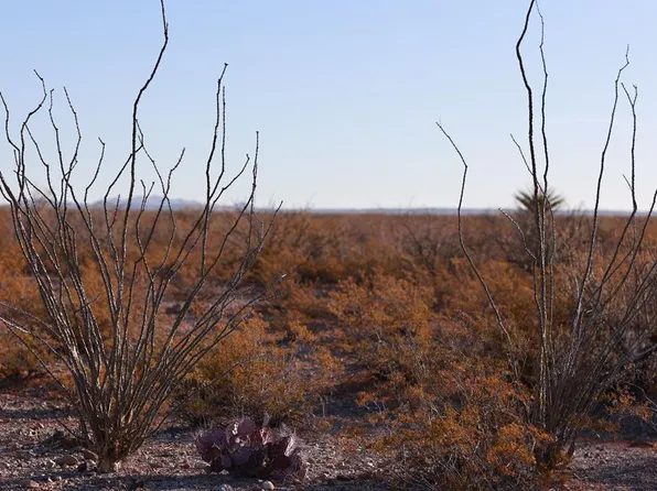 8062 State Highway 67, Presidio, TX 79845