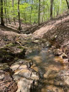 LOT 3421 Hart Ct, Ellijay, GA, 30540