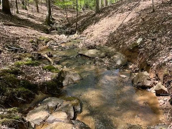 LOT 3421 Hart Ct, Ellijay, GA 30540