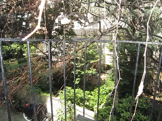 Rented by City Connections Realty | media 16