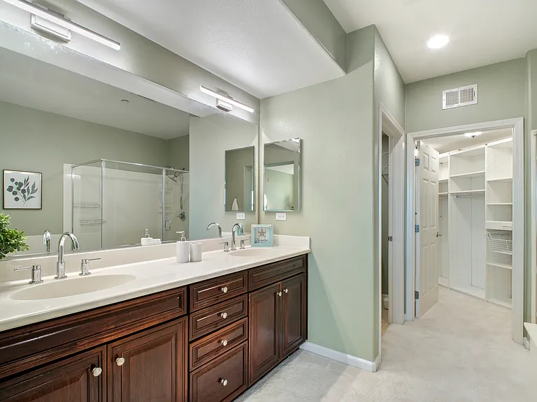 49002 Cinnamon Fern Cmn #402 — Photo 11