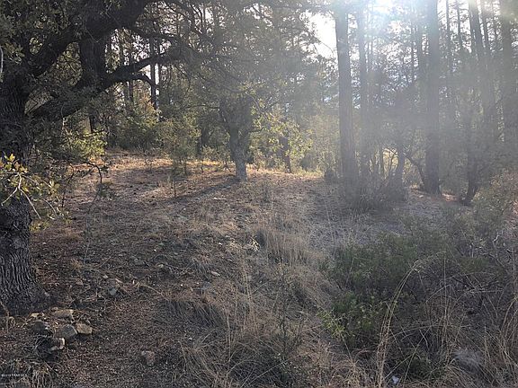 5th image of 115 Horse Shoe Loop