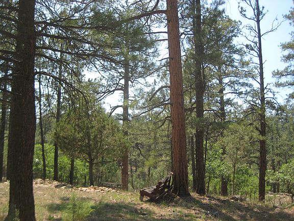 4th image of 2664 Canyon View Dr Lot 533