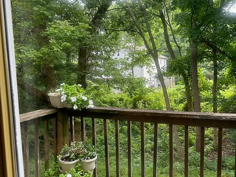 829 E Sherwood Hills Dr — Photo 9