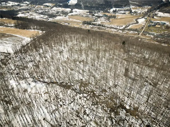 0 Oak Hill Rd, Pitcher, NY 13136