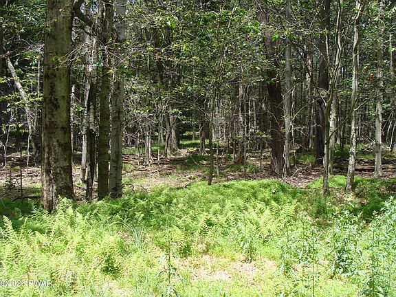 5th image of Pocono Dr