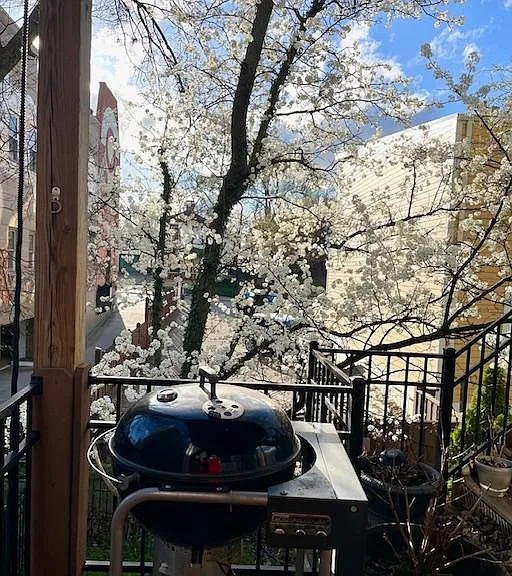 Deck off of Kitchen looking toward Mt Adams history mural on St Gregory St.