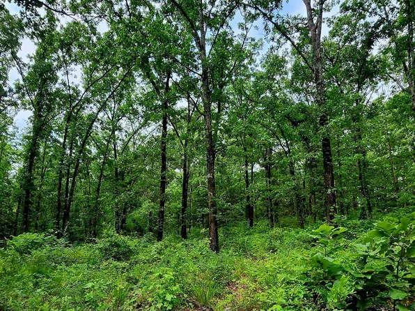 Tbd Bobwhite Rd, Gilmer, TX 75645