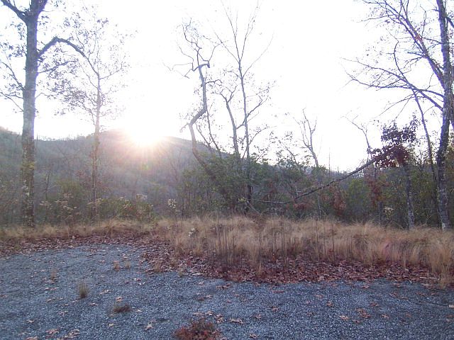 1st image of 117 Wildflower Dr