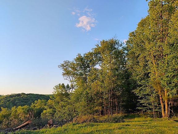 4th image of 0 Camp Coffman Rd