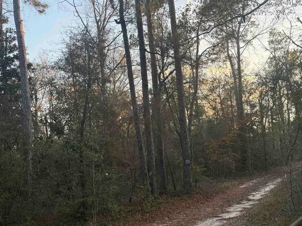 500 Private Road 8170, Kirbyville, TX 75956