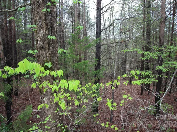 10 Ridge Way Lot 10, Marion, NC 28752