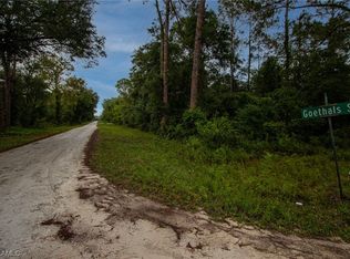 9120 Bigelow Ave, Webster, FL 33597