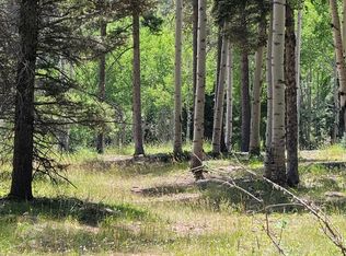 51 Via De Maria, Angel Fire, NM 87710