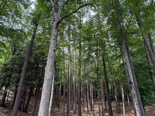 4731 Albert Courtade Rd, Traverse City, MI 49696