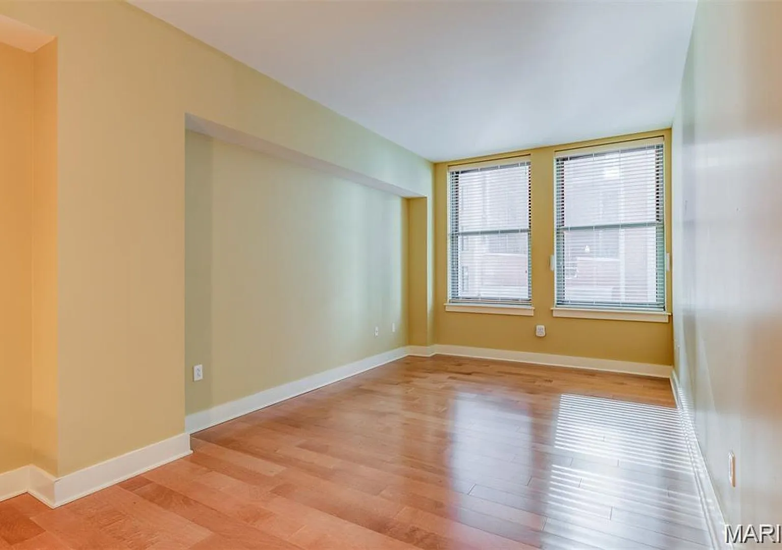 314 North Broadway #502 | Saint Louis 63102 — Photo 4