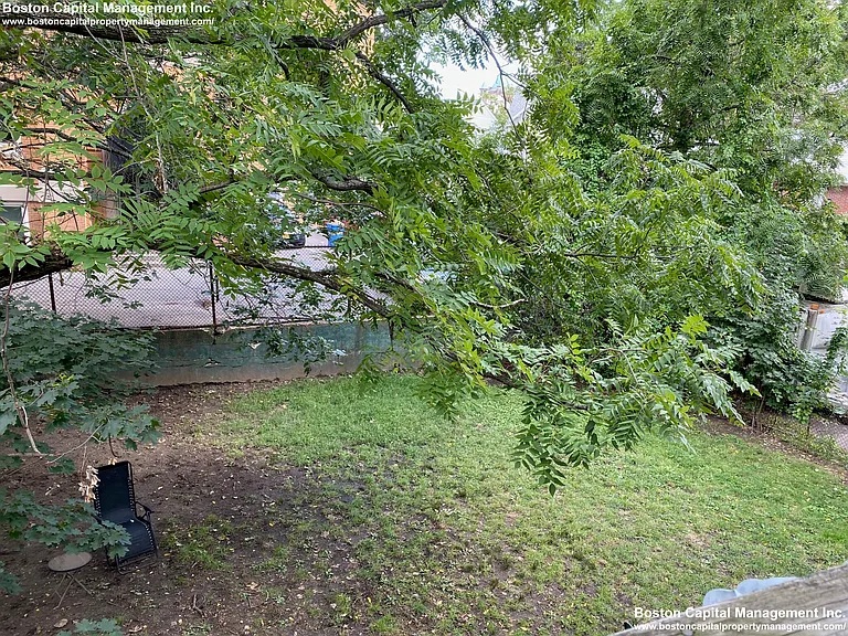 2 Webley St #2 — Photo 14