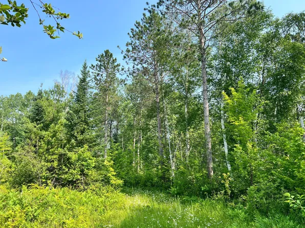 0 S Minnesuing Acres Dr, Lake Nebagamon, WI 54849