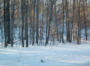 10498 Passenheim Road 20 Acres, Gaylord, MI 49735