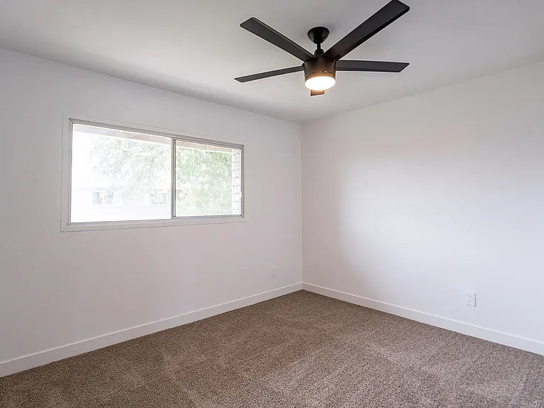 3909 S Mill Ave — Photo 24
