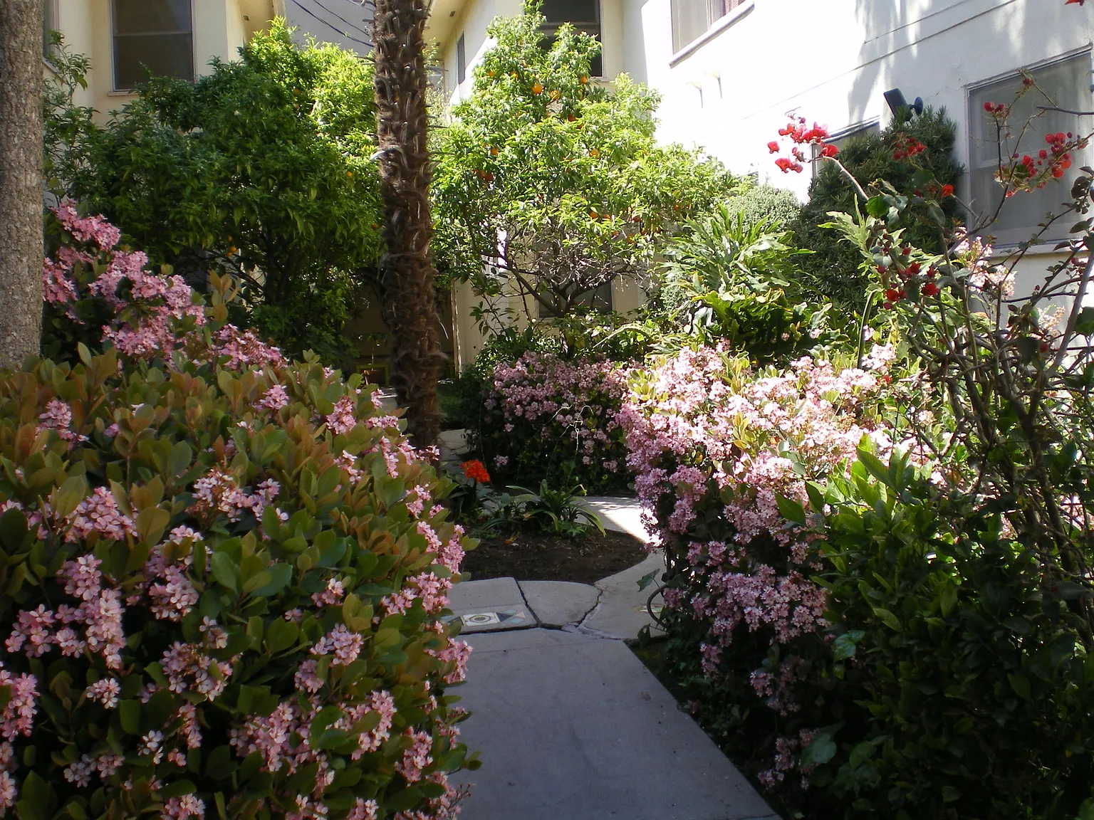 1 bed, 700 sqft, $1,985 — Photo 1