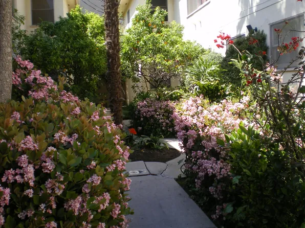 1511 S Bedford St APT 5, Los Angeles, CA 90035