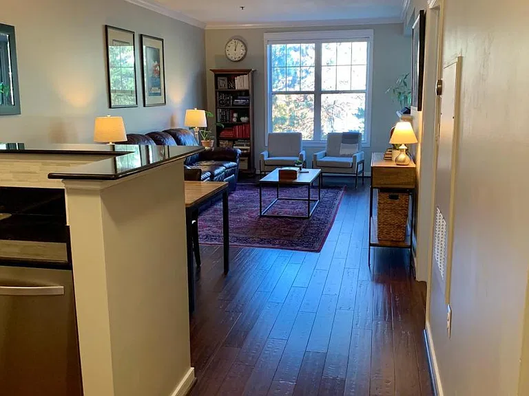 1641 International Dr #311 — Photo 3