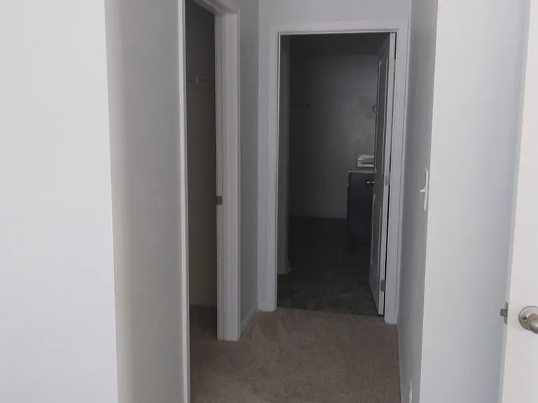 220 Greene Ln — Photo 54