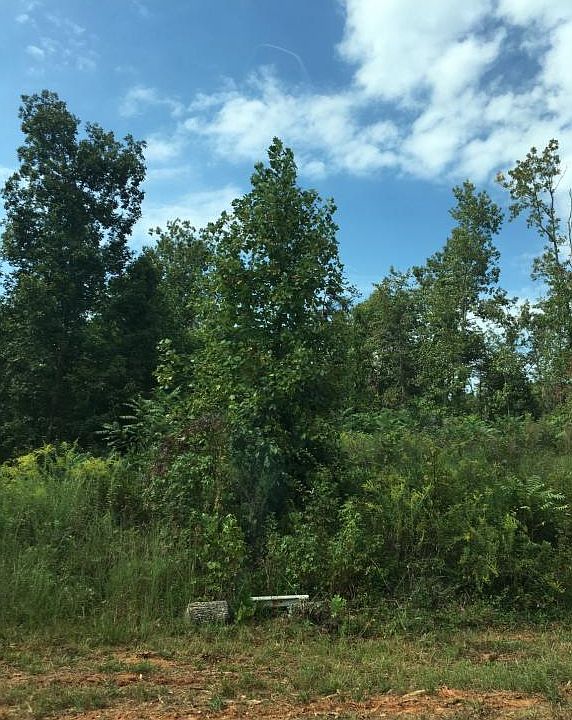 2nd image of 5228 Divine Ln