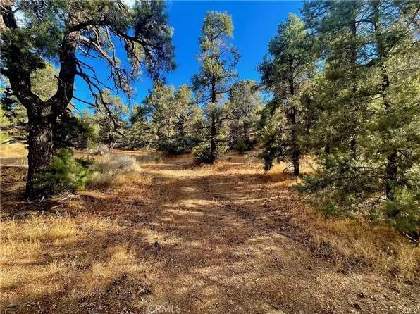 0 Homeridge Rd, Pinon Hills, CA 92372