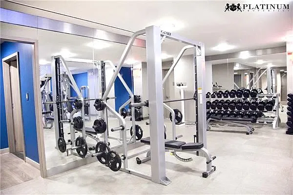 Rented by Platinum Properties | media 17