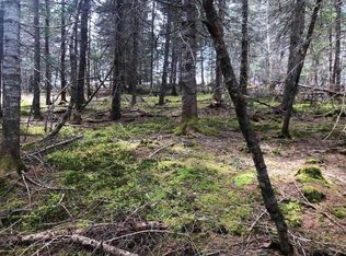 0 Cross Rd, Columbia Falls, ME 04623